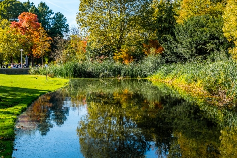 Amsterdamse-bos
